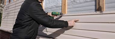 Best Siding Painting and Refinishing  in Mayodan, NC